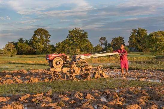 Agricultor com microtrator em terra arada