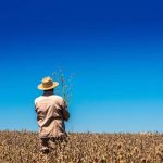 Produtor rural em lavoura de soja