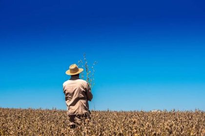 Produtor rural em lavoura de soja