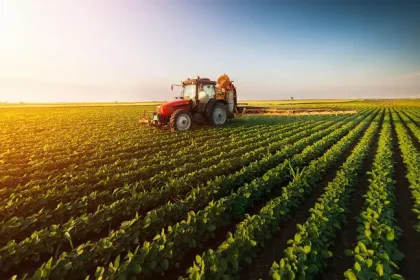 Crédito, seguro rural e fertilizantes seguem sem respostas claras no segundo turno