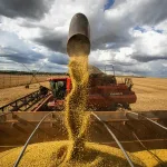 Produção nacional de grãos alcança patamar recorde de 354,5 milhões de toneladas