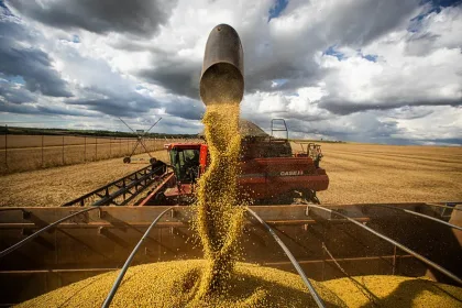 Produção nacional de grãos alcança patamar recorde de 354,5 milhões de toneladas