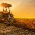 Pedidos de recuperação judicial no agro caem 20,7%