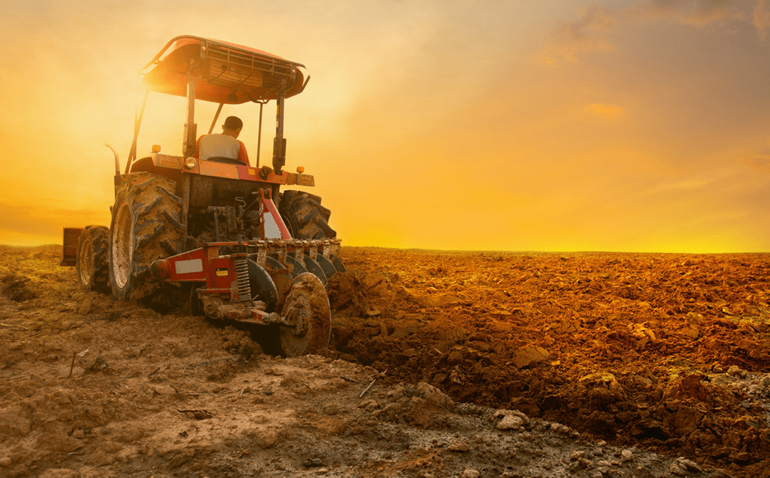 Pedidos de recuperação judicial no agro caem 20,7%