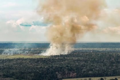Brasil reduz emissões brutas em 2025, aponta levantamento