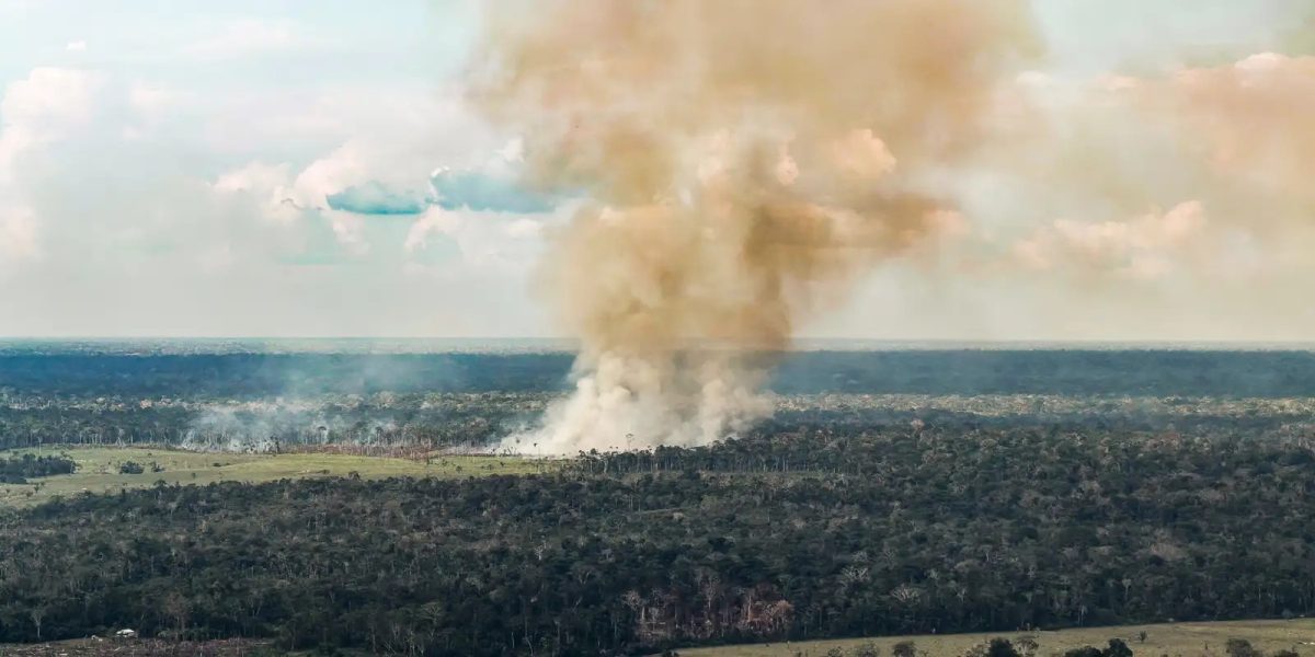 Brasil reduz emissões brutas em 2025, aponta levantamento