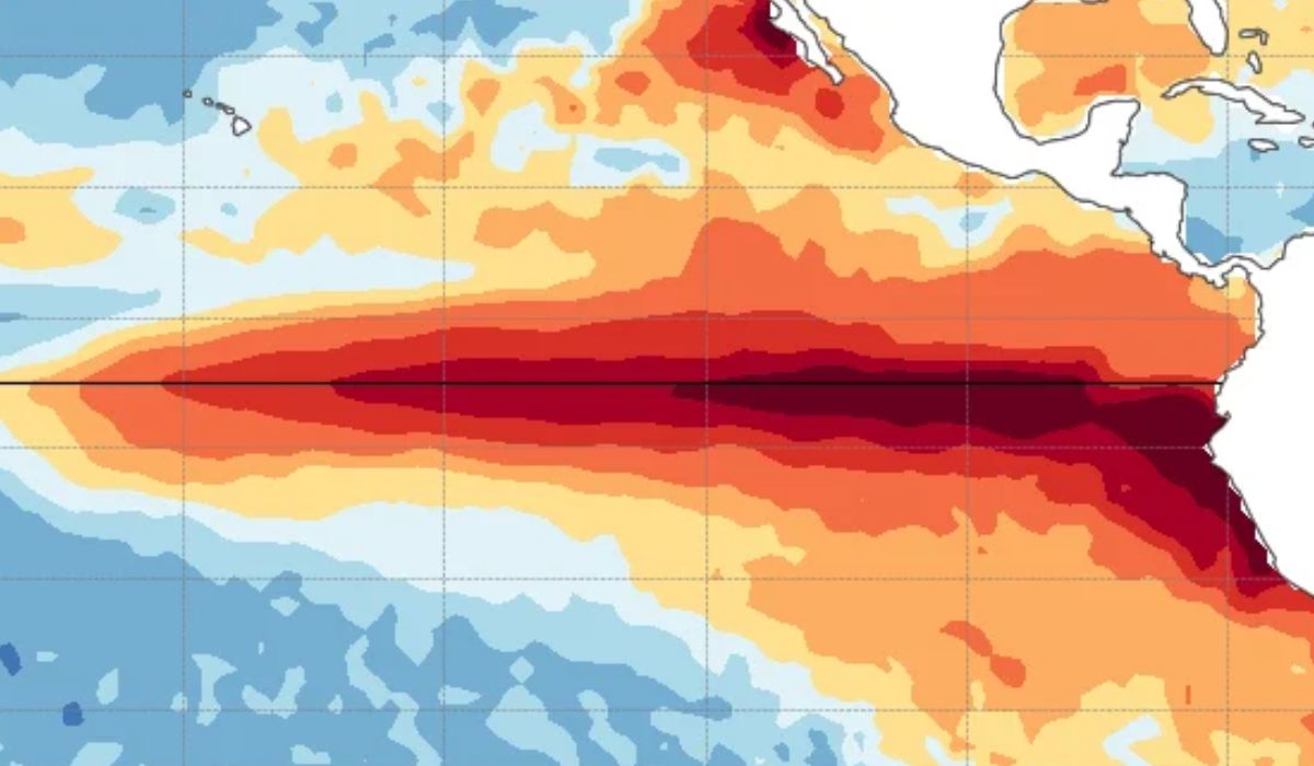 OMM alerta que El Niño pode superar intensidade de quatro décadas