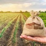 Dívidas e crédito restrito pressionam produtores de Gaúcha do Norte