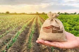 Dívidas e crédito restrito pressionam produtores de Gaúcha do Norte