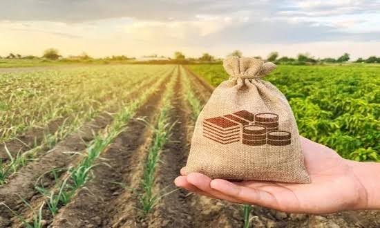 Dívidas e crédito restrito pressionam produtores de Gaúcha do Norte