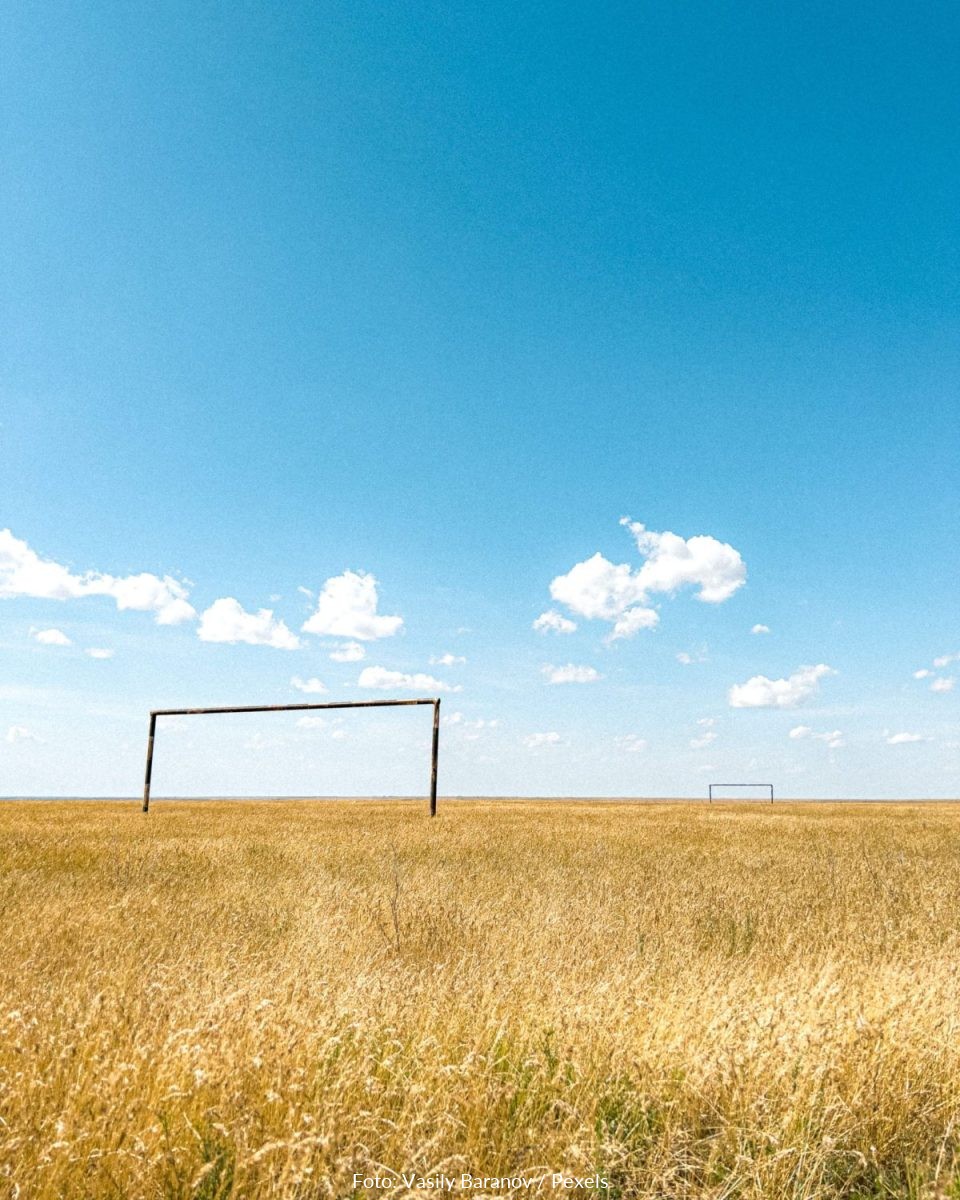 Foto: Vasily Baranov / Pexels